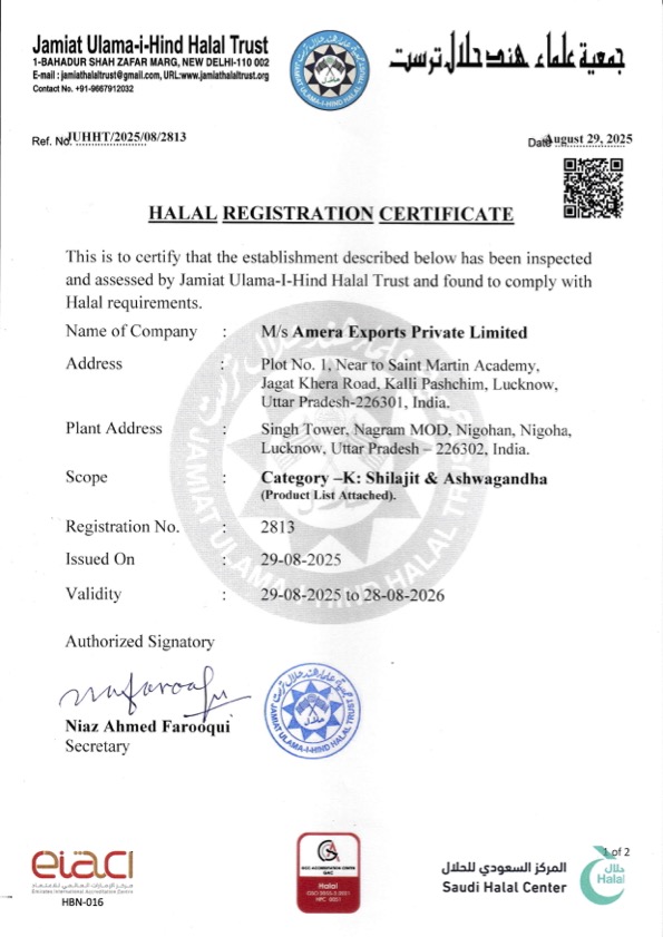 Certificate 2